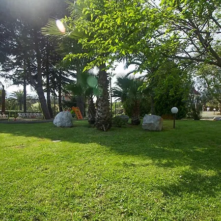 Paola - Ili02236-dyd